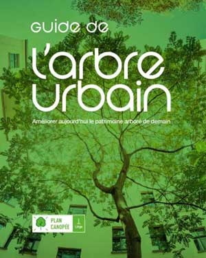 Guide de l'arbre urbain