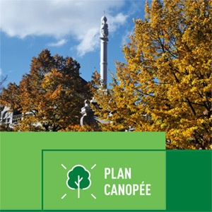 Plan Canopée (Brochure)